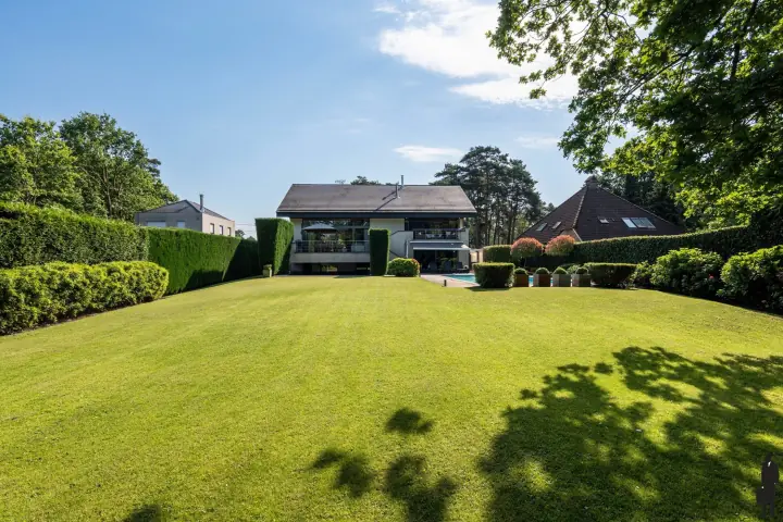 Diepe tuin op het zuiden met gazon
