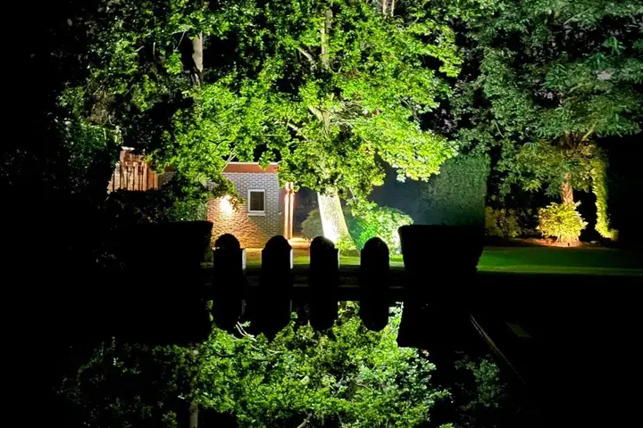 Tuin bij nacht: verlichte bomen weerspiegeld in het zwembad